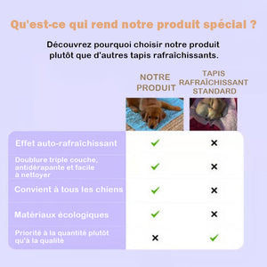 Tapis rafraîchissant pour chiens (4 fois plus efficace)