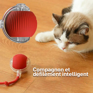 Jouet balle intelligent pour chat