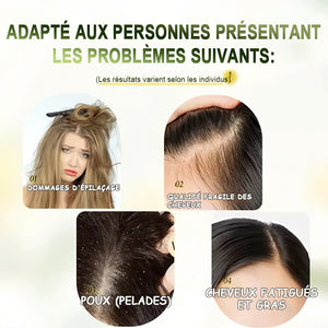Shampoing pour cheveux lisses et brillants - pour tous types de cheveux