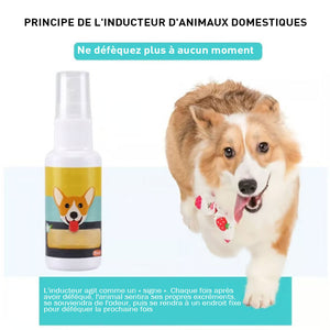 Spray d'apprentissage de la propreté pour animaux de compagnie