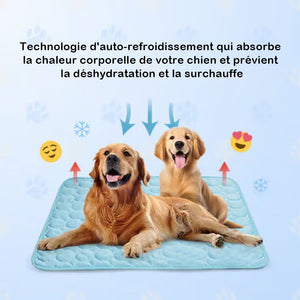 Tapis rafraîchissant pour chiens (4 fois plus efficace)