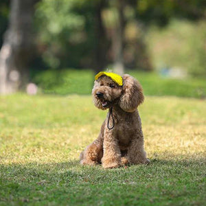 Chapeau de soleil pour chien en plein air