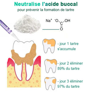 Stylo de nettoyage des dents d'animaux de compagnie（Achetez-en 1, obtenez-en 1 gratuitement）