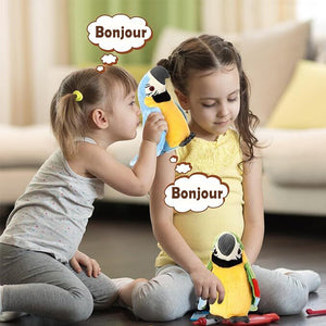 🦜Compagnon perroquet réaliste