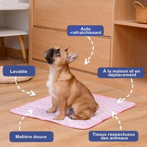 Tapis rafraîchissant pour chiens (4 fois plus efficace)