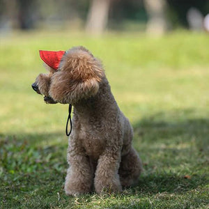 Chapeau de soleil pour chien en plein air