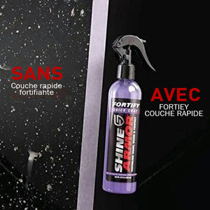 Spray d'agent de revêtement pour automobile