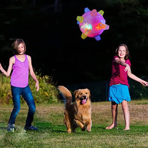 Jouet pour animaux de compagnie boule sautante lumineuse