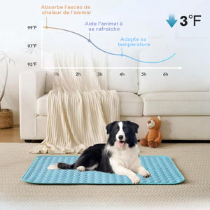 Tapis rafraîchissant pour chiens (4 fois plus efficace)