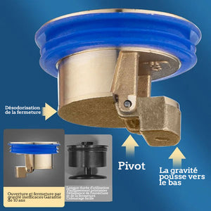 Descente d'eau universelle en laiton, noyau de drainage de sol, désodorisant anti-odeur