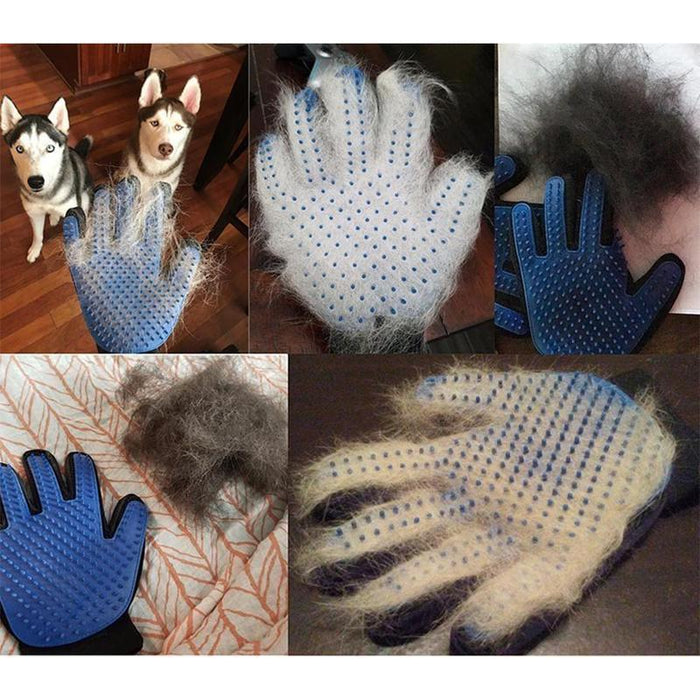 Gants pour peigner les poils d'animaux de compagnie