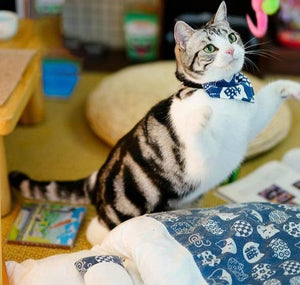 le lit pour petit animal domestique de chat chaud d'hiver mobile