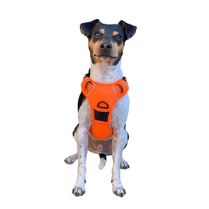 Harnais anti-traction pour les chiens