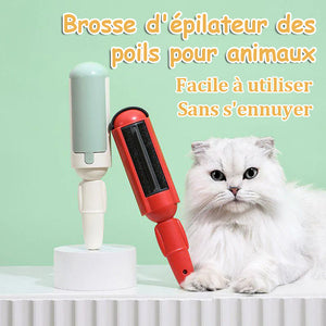 Brosse d'épilateur des poils pour animaux de compagnie