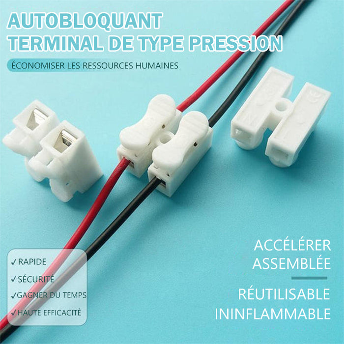 Terminal de autobloquant type pression (50 pièces)