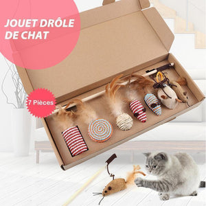 Jouet Drôle de Chat (7 Pièces)