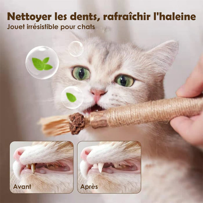 Jouet à mâcher pour chat en bâton silvervine naturel