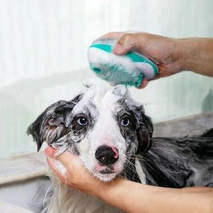 Bain pour animaux de compagnie et brosse de massage