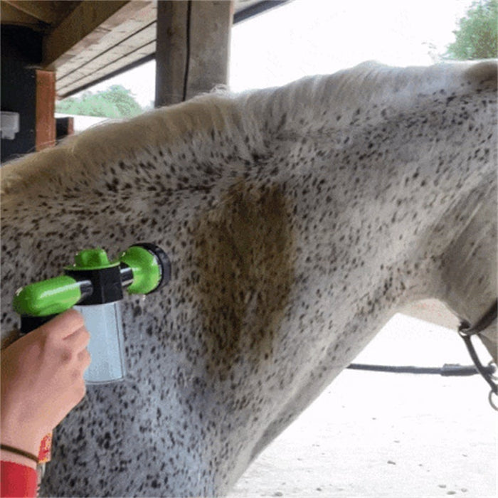 Pistolet à eau d'arrosage portable