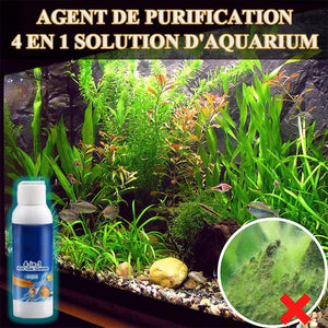 Agent de purification- 4 en 1 Solution d'aquarium