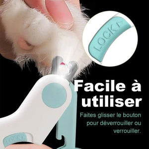 Coupe-ongles pour animaux de compagnie avec lumière LED