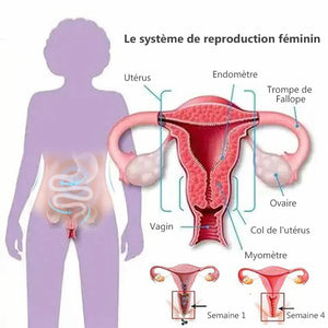 Culotte amincissante sans traces favoriser le métabolisme