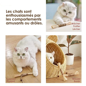 Jouet à mâcher pour chat en bâton silvervine naturel