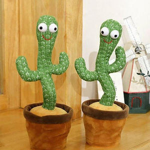 Cactus dansant