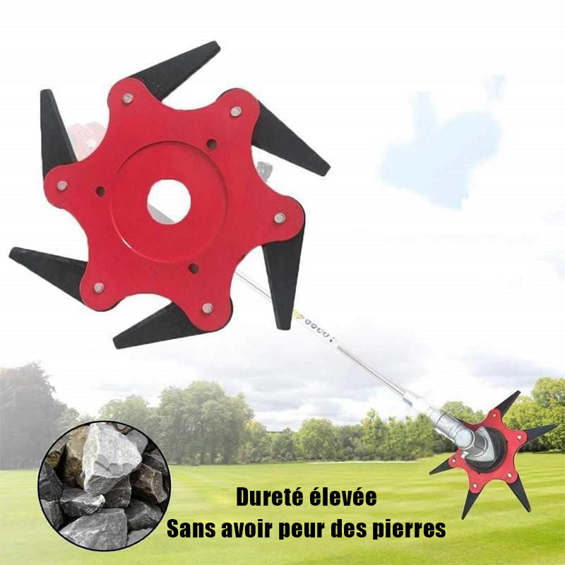 Tête de coupe universelle à 6 lames – Infiniff