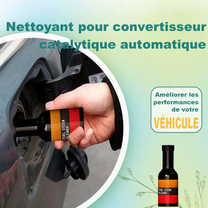 Nettoyant catalyseur pour véhicules