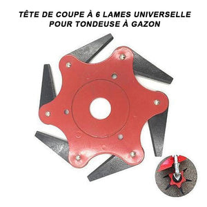 Tête de coupe universelle à 6 lames