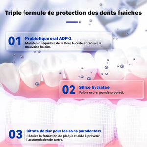 Dentifrice anti-carie pour la santé des gencives