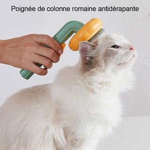 Brosse coulissante de nettoyage pour animaux de compagnie