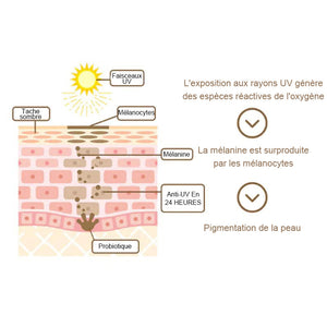 Crème solaire anti-pigmentation Probiotiques SPF 50