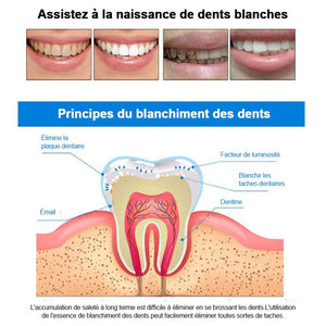 Stylo pour blanchir les dents