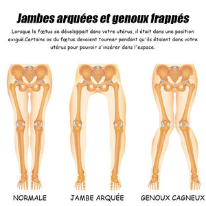 Semelle intérieure de soutien de la demi-arche