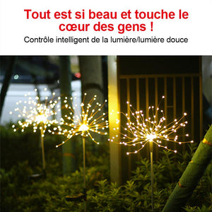 Lampes LED Feu d'artifice Solaire