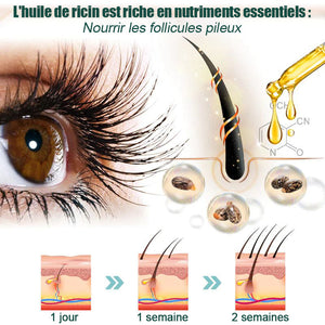 Sérum de croissance des cils