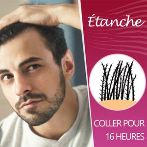 Poudre de fibre des cheveux