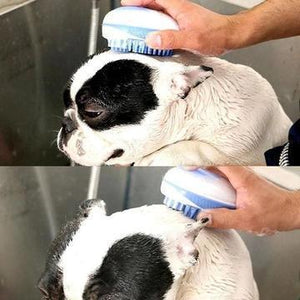 Bain pour animaux de compagnie et brosse de massage