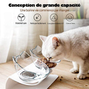 Bol à Nourriture pour Chats