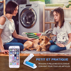 Outil anti-peluches portable et réutilisable (3 pièces)