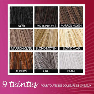 Poudre de fibre des cheveux