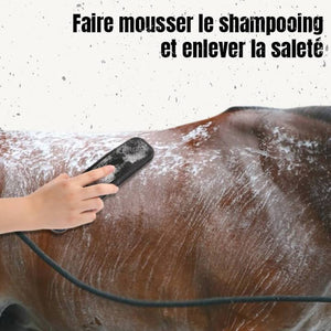 Brosse de massage et de toilettage 6-en-1