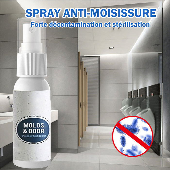 Nettoyant contre la moisissure des murs multifonctionnel