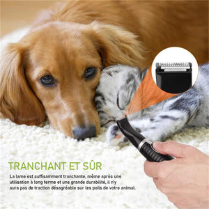 Rasoir multifonctionnel pour animaux de compagnie