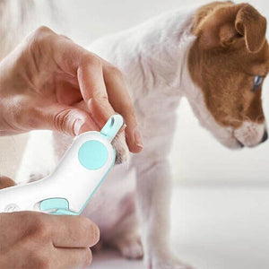 Coupe-ongles pour animaux de compagnie avec lumière LED