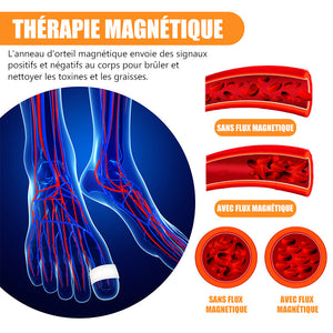 Anneau d'orteil amincissant thérapie magnétique