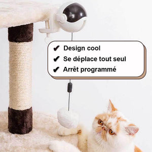 Jouet interactif pour chat