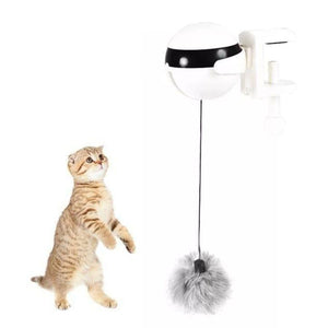 Jouet interactif pour chat